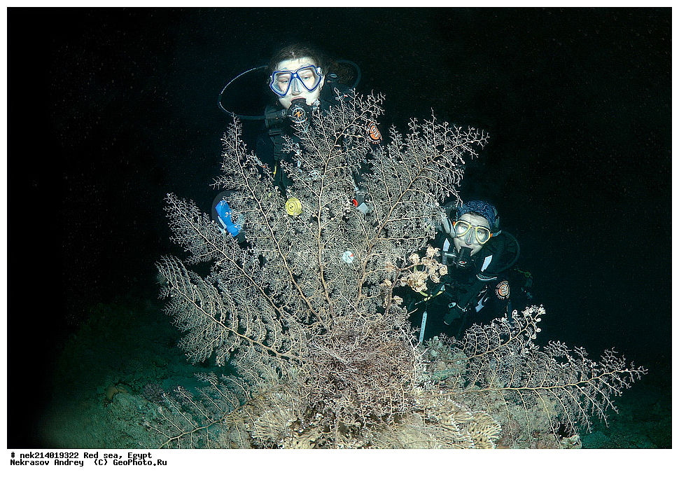 ������, ������� ����, ��������� ���, ���������, ���������, ��� �����, ����, �������, ���������, ����, �����, ������� ����, �������, ������, ������, �������