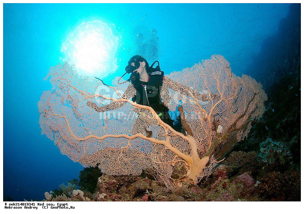 ������, ������� ����, ��������� ���, ���������, ���������, ��� �����, ����, �������, ���������, ����, �����, ������� ����, ����������, ���, ������, �������, ������, ��������, ����������