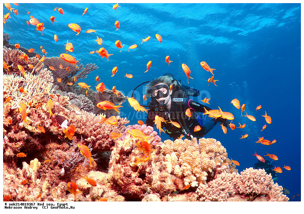 ������, ������� ����, ��������� ���, ���������, ���������, ��� �����, ����, �������, ���������, ����, �����, ������� ����, �����������, ������������, ������, �������, ��������, �����, ������ �����������,