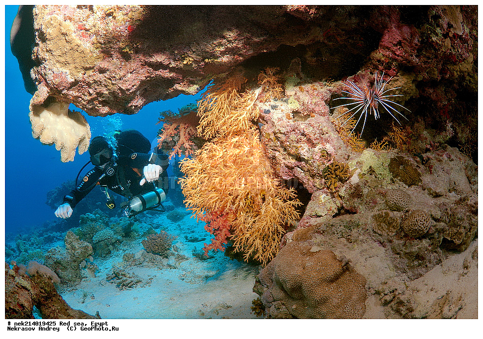 ������, ������� ����, ��������� ���, ���������, ���������, ��� �����, ����, �������, ���������, ����, �����, ������� ����, ����������, ���, ������, �������, ������, ��������