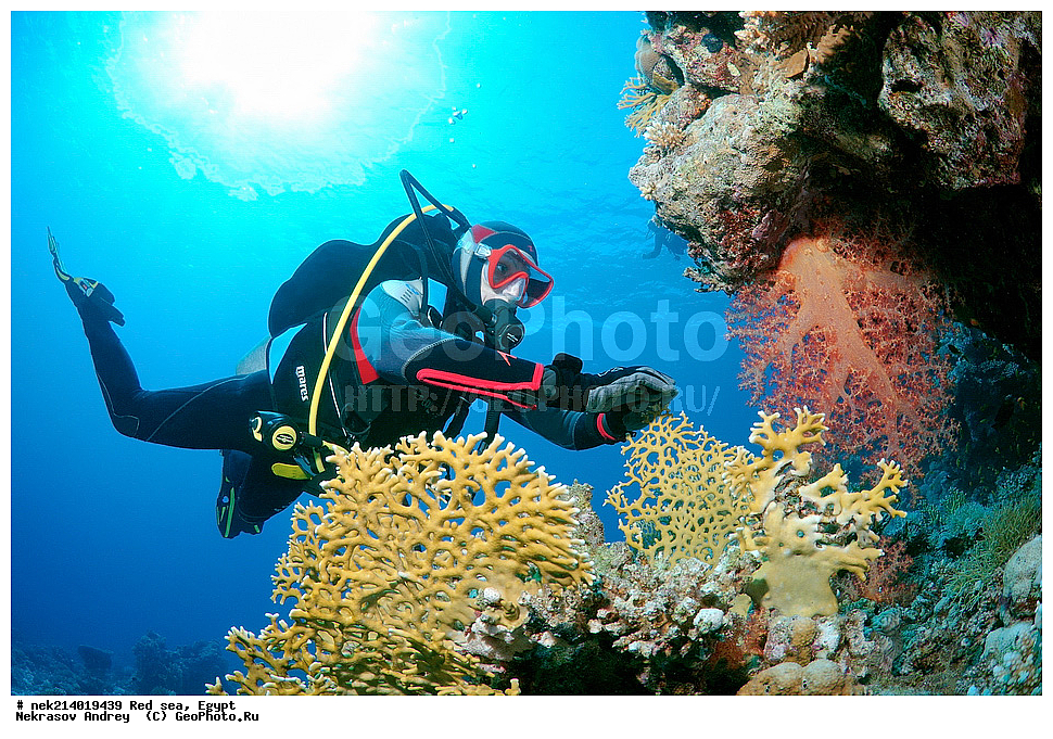 ������, ������� ����, ��������� ���, ���������, ���������, ��� �����, ����, �������, ���������, ����, �����, ������� ����, ����������, ���, ������, �������, ������, ��������