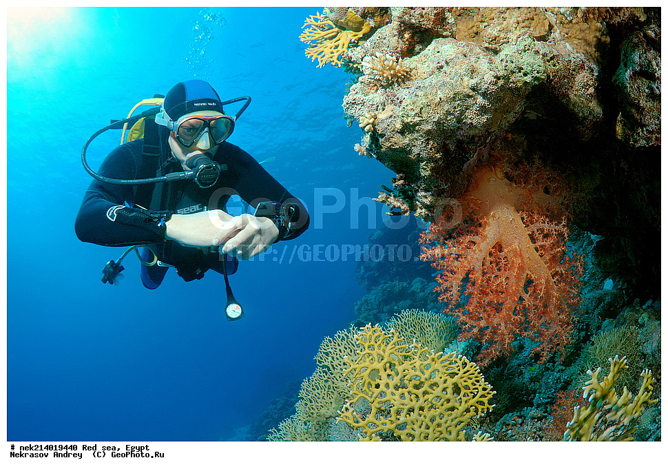 ������, ������� ����, ��������� ���, ���������, ���������, ��� �����, ����, �������, ���������, ����, �����, ������� ����, ����������, ���, ������, �������, ������, ��������