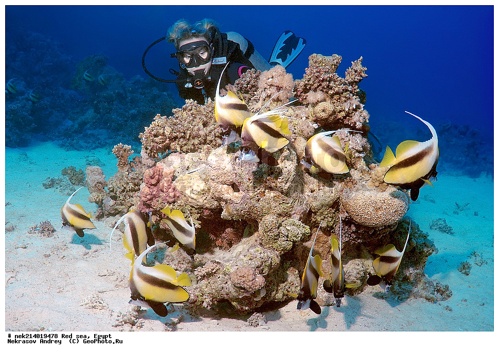 ������, ������� ����, ��������� ���, ���������, ���������, ��� �����, ����, �������, ���������, ����, �����, ������� ����, ����, �����, ����-�����