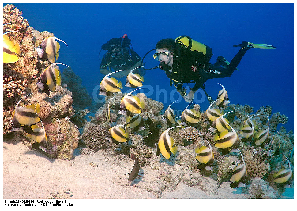 ������, ������� ����, ��������� ���, ���������, ���������, ��� �����, ����, �������, ���������, ����, �����, ������� ����, ����, �����, ����-�����