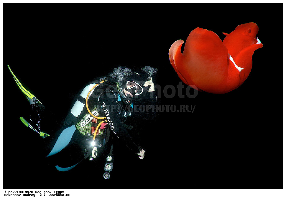 ������, ������� ����, ��������� ���, ���������, ���������, ��� �����, ����, �������, ���������, ����, �����, ������� ����, ������������, �������, �������, �������,  ���������, ������