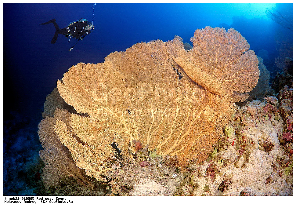 ������, ������� ����, ��������� ���, ���������, ���������, ��� �����, ����, �������, ���������, ����, �����, ������� ����, ����������, ���, ������, �������, ������, ��������, ����������