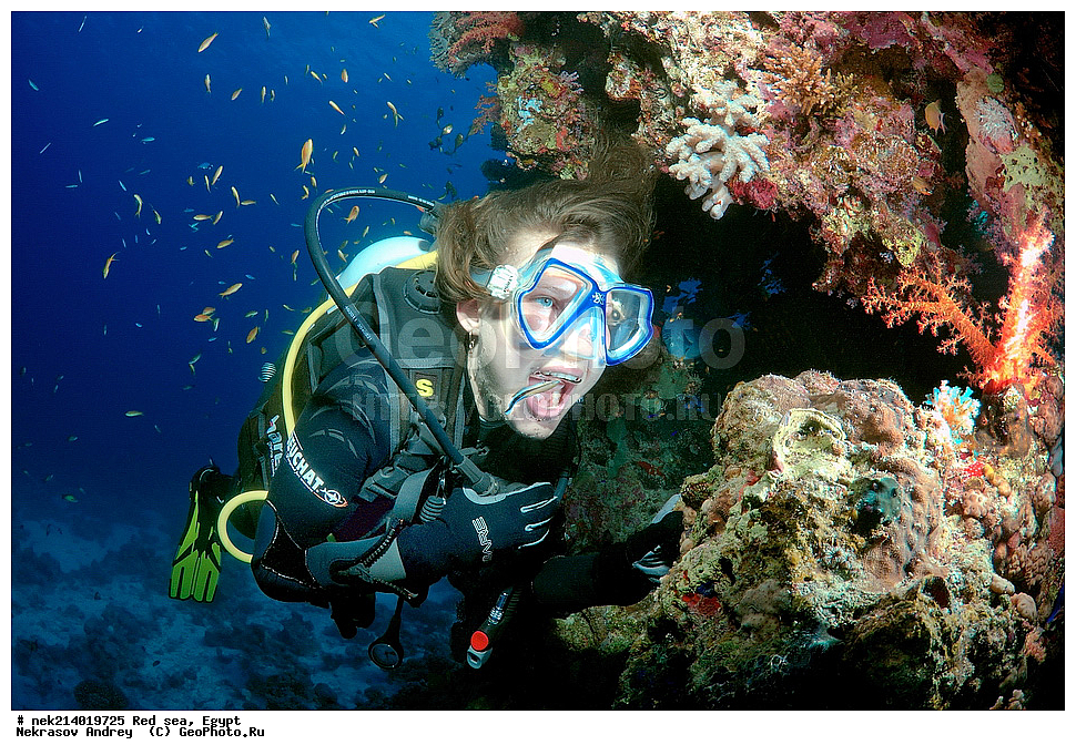 ������, ������� ����, ��������� ���, ���������, ���������, ��� �����, ����, �������, ���������, ����, �����, ������� ����, ���� ����������