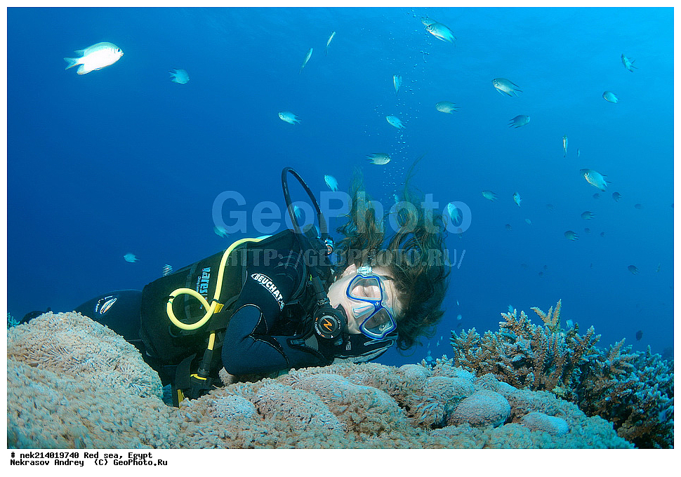 ������, ������� ����, ��������� ���, ���������, ���������, ��� �����, ����, �������, ���������, ����, �����, ������� ����