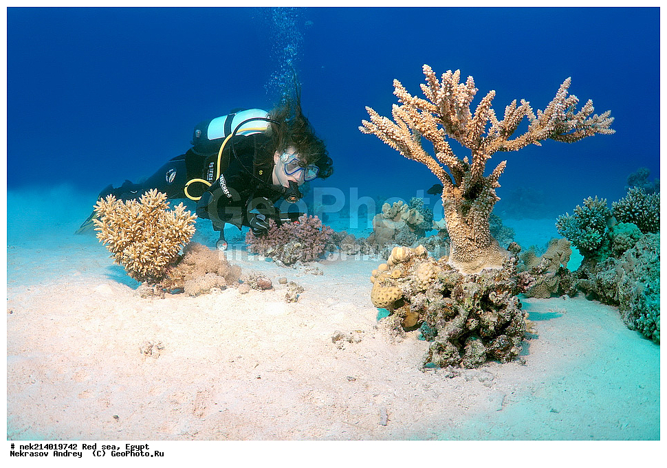 ������, ������� ����, ��������� ���, ���������, ���������, ��� �����, ����, �������, ���������, ����, �����, ������� ����, ����������, ���, ������, �������, ������, ��������