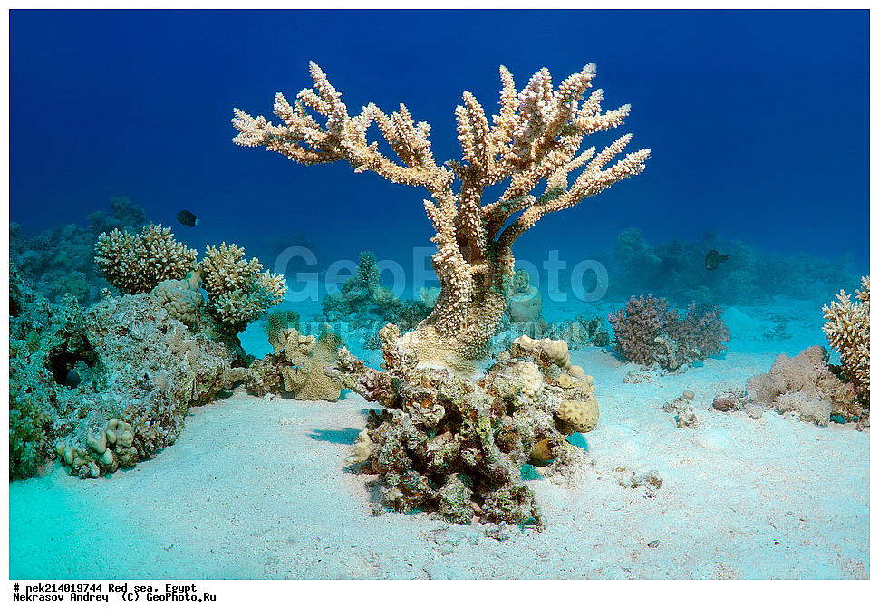 ������, ������� ����, ��������� ���, ���������, ���������, ��� �����, ����, �������, ���������, ����, �����, ������� ����, ����������, ���, ������, �������, ������, ��������