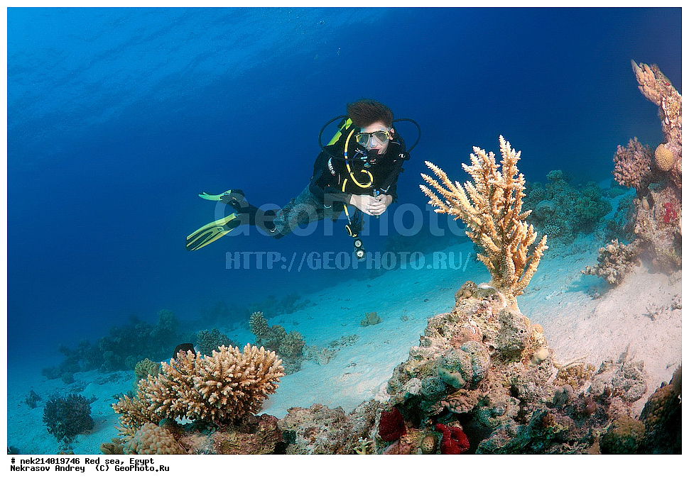 ������, ������� ����, ��������� ���, ���������, ���������, ��� �����, ����, �������, ���������, ����, �����, ������� ����, ����������, ���, ������, �������, ������, ��������