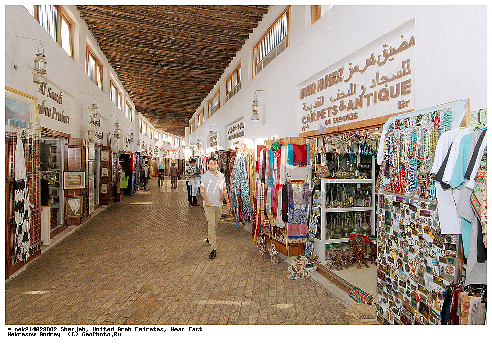 ������, ������������ �������� �������, ������� ������, ������, �����, �����, ������, �����������, ��������, �����������, ������, ���������������, ���������������, ��������, ��������