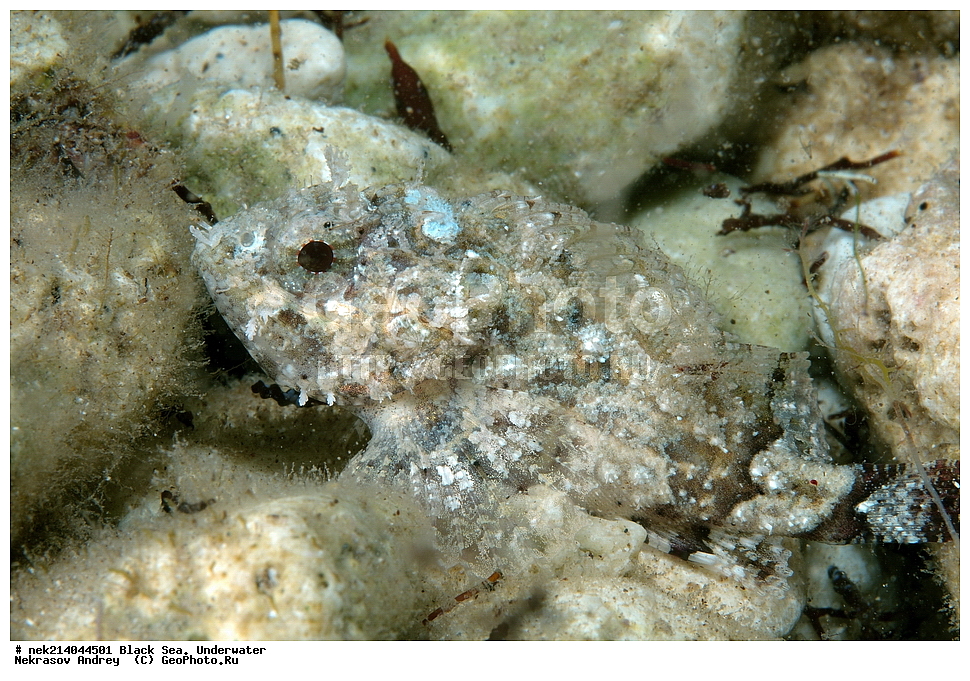 ������ ����. ��������� ��� , ����, ��������, ������� ���, ��������� ������, ��������, ���, ����, �����, �����, �����, ����, �����, ��������, ��������, ����, ���������, ���, ��� �����, ���������, ��������� ����������, ���������, ���������, ��������� ���, ���������� ���������, �������, ����, ����, ������������, ������������, ������ ����, ����������, ��������, ������