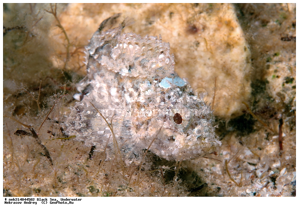 ������ ����. ��������� ��� , ����, ��������, ������� ���, ��������� ������, ��������, ���, ����, �����, �����, �����, ����, �����, ��������, ��������, ����, ���������, ���, ��� �����, ���������, ��������� ����������, ���������, ���������, ��������� ���, ���������� ���������, �������, ����, ����, ������������, ������������, ������ ����, ����������, ��������, ������