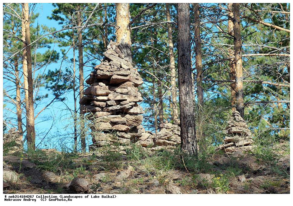 ������, ������, ������, �����, ����������, �����, ���, ���������� ��������, �������, ������, ������