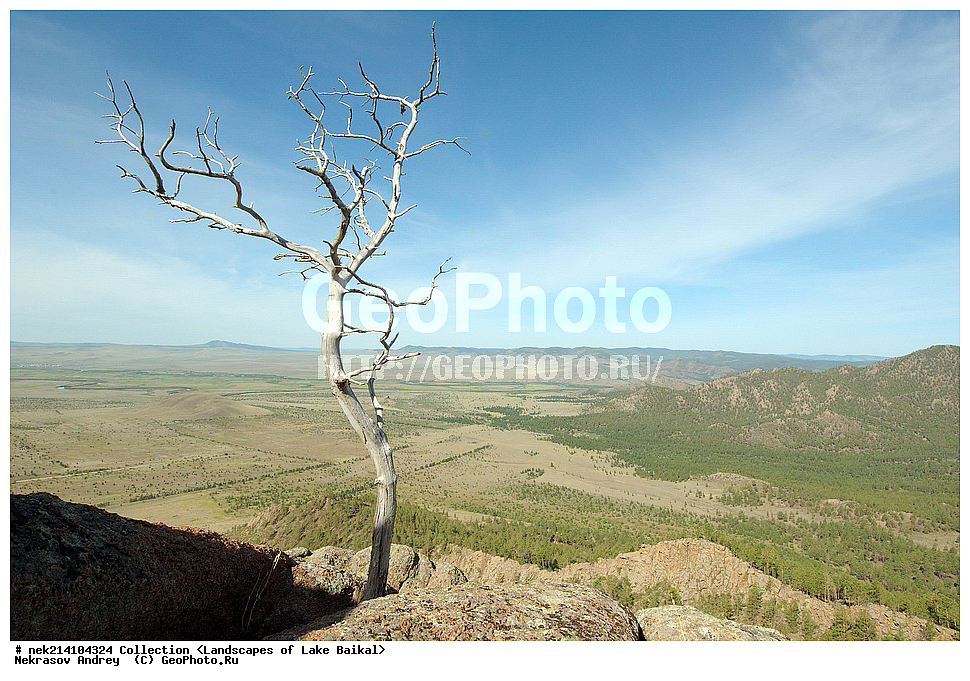 ������, ������, ������, �����, ������ ������, �������, ���, ����������, ��������, �������