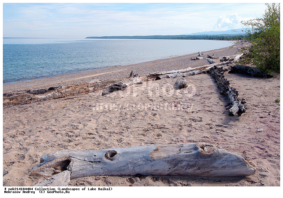 ������, ������, ������, �����