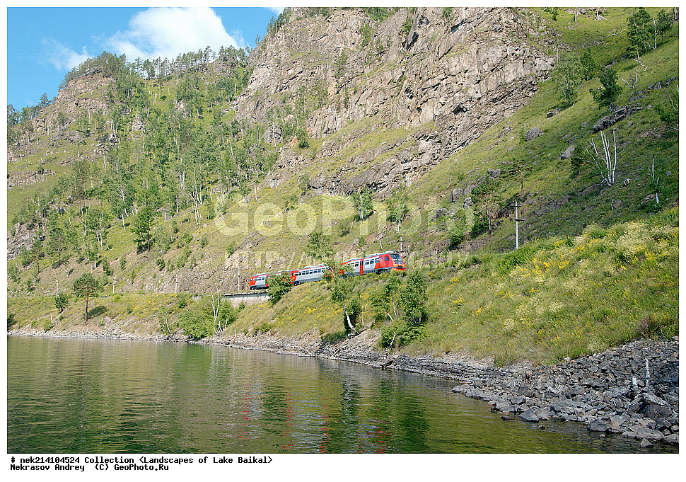 ������, ������, ������, �����