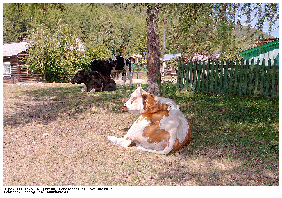 ������, ������, ������, �����, �������, ������� ����, ����� ������