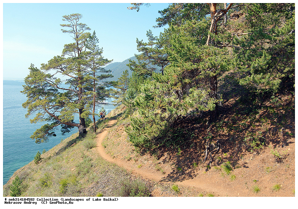 ������, ������, ������, �����, ���, �����