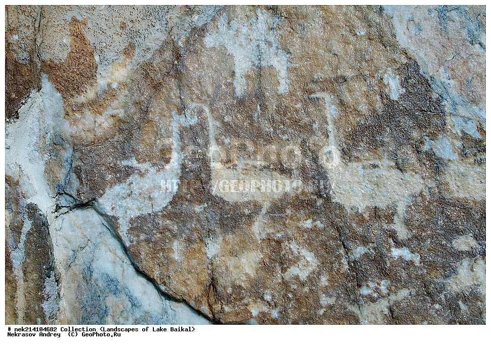 ������, ������, ������, �����, ������-����, �������, ����������, ��������, �������, �������, ����������, ���, �����������, ������, ������, �������, ������, ���, ����, �������, ����, �������, �����, �����, ����������, ���������, ���������