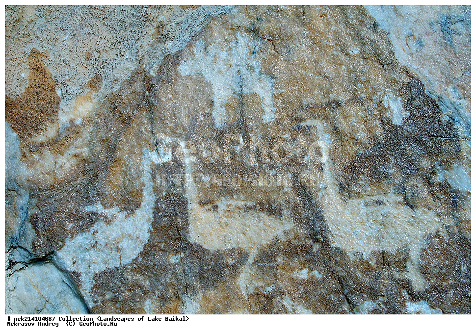 ������, ������, ������, �����, ������-����, �������, ����������, ��������, �������, �������, ����������, ���, �����������, ������, ������, �������, ������, ���, ����, �������, ����, �������, �����, �����, ����������, ���������, ���������