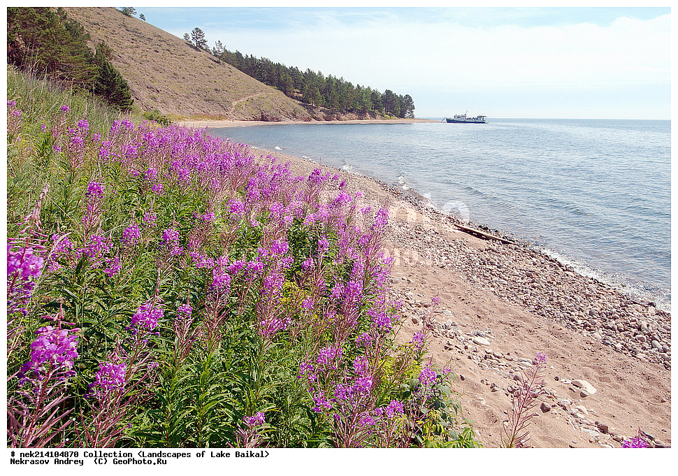 ������, ������, ������, �����, ������, ������, �������, ������, ���, ����, �������, ����, �������, �����, �����, ����������, ���������, ����������, ���������, ����, ���������, ������, ���������, ���, ��������