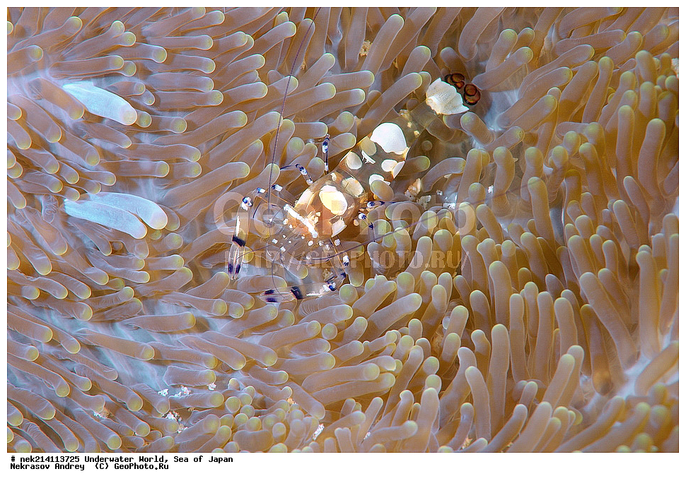  �������, �����������, �����������, �����������, �����, �������, �����, ������������, ��������, ���������, ���������, ��������� ���, ��������� ������, �������, ����� �������, ����� �������,   ����������, ����������,  ������� ������, ������, ������,  �����, ������, �������, ��������,   �����, ����, ��� �����, ����, ������� ��������, ����, ����, ����, �����, ����� ��������, ��������, �������������, �������������, ��������������, �����, ��������, �������������, ���, ����, ��������, �������������, ������������������, �������, �������������, ���������� �����,
