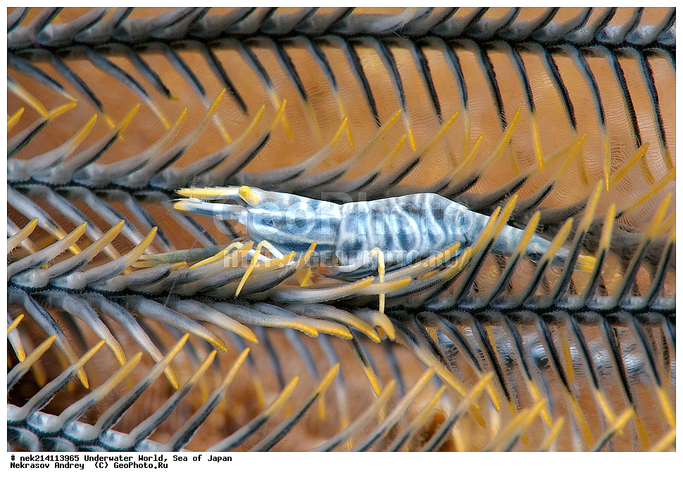  �������, �����, ���������, �����������, �������, �����������, ���������� ����, ����, �����, ������, �����, ��������, ��������, ����, ����, �������, �������, ���, ���������, ���������, ��������� ���, �������,��������� �����, ����� �����, ���-��������� ����, ��������� ���������, ����-������������� �������, ����-�������������, ����-�������������, ����, ����, ����������, �������, �����, ���������, �����������, �������, �����������, ���������� ����, ����, �����, ������, �����, ��������, ��������, ����, ����, �������, �������, ���, ���������, ���������, ��������� ���, �������,��������� �����, ����� �����, ���-��������� ����, ��������� ���������, ����-������������� �������, ����-�������������, ����-�������������, ����, ����, ����������, �������, �����������, �����������, �����������, �����, �������, �����, ������������, ��������, ���������, ���������, ��������� ���, ��������� ������, �������, ����� �������, ����� �������,   ����������, ����������,  ������� ������, ������, ������,  �����, ������, �������, ��������,   �����, ����, ��� �����, ����, ������� ��������, ����, ����, ����, �����, ����� ��������, ��������, �������������, �������������, ��������������, �����, ��������, �������������, ���, ����, ��������, �������������, ������������������, �������, �������������, ���������� �����,
