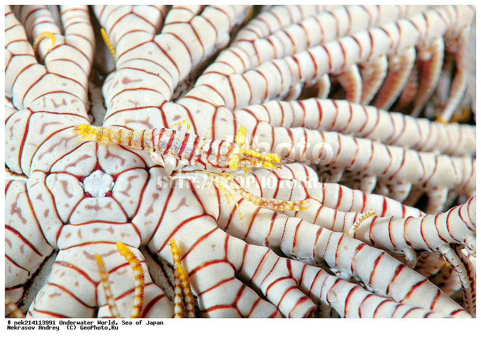  �������, �����, ���������, �����������, �������, �����������, ���������� ����, ����, �����, ������, �����, ��������, ��������, ����, ����, �������, �������, ���, ���������, ���������, ��������� ���, �������,��������� �����, ����� �����, ���-��������� ����, ��������� ���������, ����-������������� �������, ����-�������������, ����-�������������, ����, ����, ����������, �������, �����������, �����������, �����������, �����, �������, �����, ������������, ��������, ���������, ���������, ��������� ���, ��������� ������, �������, ����� �������, ����� �������,   ����������, ����������,  ������� ������, ������, ������,  �����, ������, �������, ��������,   �����, ����, ��� �����, ����, ������� ��������, ����, ����, ����, �����, ����� ��������, ��������, �������������, �������������, ��������������, �����, ��������, �������������, ���, ����, ��������, �������������, ������������������, �������, �������������, ���������� �����,
