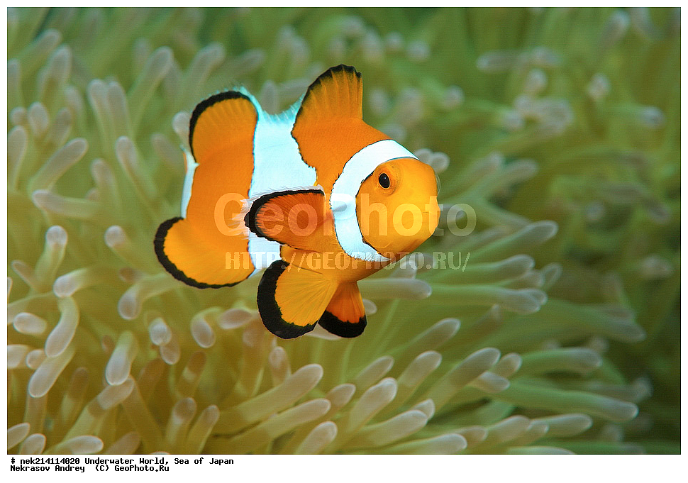  �������, �����, ���������, �����������, �������, �����������, ���������� ����, ����, �����, ������, �����, ��������, ��������, ����, ����, �������, �������, ���, ���������, ���������, ��������� ���, �������,��������� �����, ����� �����, ���-��������� ����, ��������� ���������, ����-������������� �������, ����-�������������, ����-�������������, ����, ����, ����������, ���������, ����, ����, ����, ������, ������, �������, �����, ����-�����, �������, �����������, �����������, �����������, �����, �������, �����, ������������, ��������, ���������, ���������, ��������� ���, ��������� ������, �������, ����� �������, ����� �������,   ����������, ����������,  ������� ������, ������, ������,  �����, ������, �������, ��������,   �����, ����, ��� �����, ����, ������� ��������, ����, ����, ����, �����, ����� ��������, ��������, �������������, �������������, ��������������, �����, ��������, �������������, ���, ����, ��������, �������������, ������������������, �������, �������������, ���������� �����,
