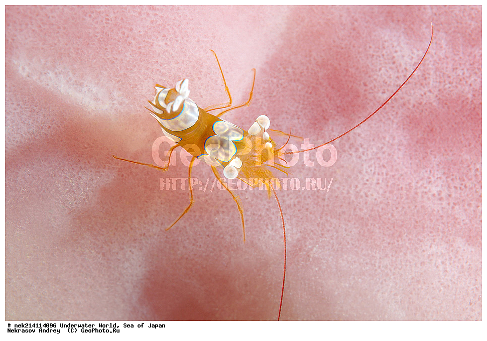  �������, �����, ���������, �����������, �������, �����������, ���������� ����, ����, �����, ������, �����, ��������, ��������, ����, ����, �������, �������, ���, ���������, ���������, ��������� ���, �������,��������� �����, ����� �����, ���-��������� ����, ��������� ���������, ����-������������� �������, ����-�������������, ����-�������������, ����, ����, ����������, �������, �����, ���������, �����������, �������, �����������, ���������� ����, ����, �����, ������, �����, ��������, ��������, ����, ����, �������, �������, ���, ���������, ���������, ��������� ���, �������,��������� �����, ����� �����, ���-��������� ����, ��������� ���������, ����-������������� �������, ����-�������������, ����-�������������, ����, ����, ����������, �������, �����������, �����������, �����������, �����, �������, �����, ������������, ��������, ���������, ���������, ��������� ���, ��������� ������, �������, ����� �������, ����� �������,   ����������, ����������,  ������� ������, ������, ������,  �����, ������, �������, ��������,   �����, ����, ��� �����, ����, ������� ��������, ����, ����, ����, �����, ����� ��������, ��������, �������������, �������������, ��������������, �����, ��������, �������������, ���, ����, ��������, �������������, ������������������, �������, �������������, ���������� �����,
