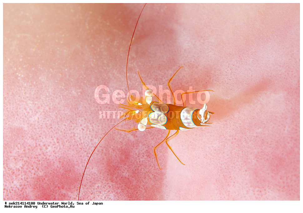  �������, �����������, �����������, �����������, �����, �������, �����, ������������, ��������, ���������, ���������, ��������� ���, ��������� ������, �������, ����� �������, ����� �������,   ����������, ����������,  ������� ������, ������, ������,  �����, ������, �������, ��������,   �����, ����, ��� �����, ����, ������� ��������, ����, ����, ����, �����, ����� ��������, ��������, �������������, �������������, ��������������, �����, ��������, �������������, ���, ����, ��������, �������������, ������������������, �������, �������������, ���������� �����,
