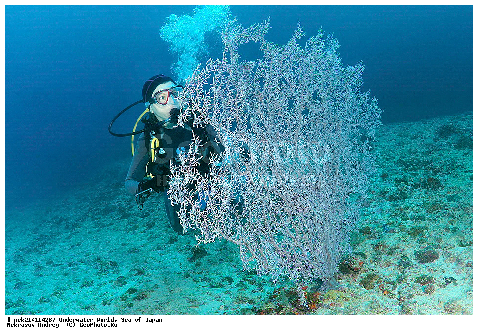  �������, �����, ���������, �����������, �������, �����������, ���������� ����, ����, �����, ������, �����, ��������, ��������, ����, ����, �������, �������, ���, ���������, ���������, ��������� ���, �������,��������� �����, ����� �����, ���-��������� ����, ��������� ���������, ����-������������� �������, ����-�������������, ����-�������������, ����, ����, ����������, �������, �����������, �����������, �����������, �����, �������, �����, ������������, ��������, ���������, ���������, ��������� ���, ��������� ������, �������, ����� �������, ����� �������,   ����������, ����������,  ������� ������, ������, ������,  �����, ������, �������, ��������,   �����, ����, ��� �����, ����, ������� ��������, ����, ����, ����, �����, ����� ��������, ��������, �������������, �������������, ��������������, �����, ��������, �������������, ���, ����, ��������, �������������, ������������������, �������, �������������, ���������� �����,
