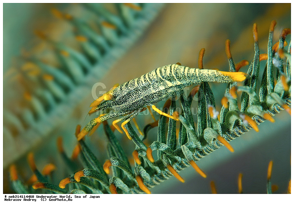  �������, �����, ���������, �����������, �������, �����������, ���������� ����, ����, �����, ������, �����, ��������, ��������, ����, ����, �������, �������, ���, ���������, ���������, ��������� ���, �������,��������� �����, ����� �����, ���-��������� ����, ��������� ���������, ����-������������� �������, ����-�������������, ����-�������������, ����, ����, ����������, �������, �����������, �����������, �����������, �����, �������, �����, ������������, ��������, �������, �����������, �����������, �����������, �����, �������, �����, ������������, ��������, ���������, ���������, ��������� ���, ��������� ������, �������, ����� �������, ����� �������,   ����������, ����������,  ������� ������, ������, ������,  �����, ������, �������, ��������,   �����, ����, ��� �����, ����, ������� ��������, ����, ����, ����, �����, ����� ��������, ��������, �������������, �������������, ��������������, �����, ��������, �������������, ���, ����, ��������, �������������, ������������������, �������, �������������, ���������� �����,
