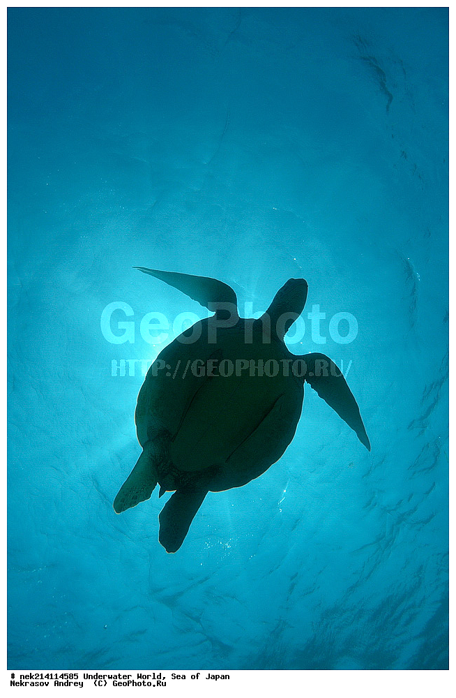  �������, �����, ���������, �����������, �������, �����������, ���������� ����, ����, �����, ������, �����, ��������, ��������, ����, ����, �������, �������, ���, ���������, ���������, ��������� ���, �������,��������� �����, ����� �����, ���-��������� ����, ��������� ���������, ����-������������� �������, ����-�������������, ����-�������������, ����, ����, ����������, ������ ��������, ������ ������� ��������, ������́� ������́��, ������, �������, �������, ������́��, ������́��, �������, �����������, �����������, �����������, �����, �������, �����, ������������, ��������