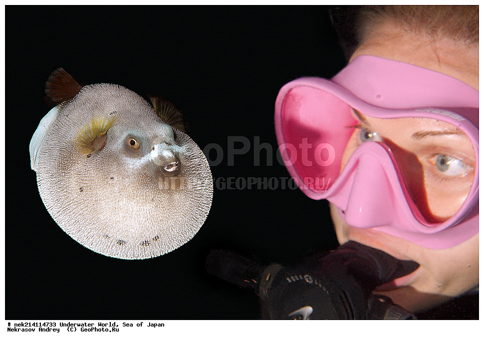  �������, �����, ���������, �����������, �������, �����������, ���������� ����, ����, �����, ������, �����, ��������, ��������, ����, ����, �������, �������, ���, ���������, ���������, ��������� ���, �������,��������� �����, ����� �����, ���-��������� ����, ��������� ���������, ����-������������� �������, ����-�������������, ����-�������������, ����, ����, ����������, �������, �����, ���������, �����������, �������, �����������, ���������� ����, ����, �����, ������, �����, ��������, ��������, ����, ����, �������, �������, ���, ���������, ���������, ��������� ���, �������,��������� �����, ����� �����, ���-��������� ����, ��������� ���������, ����-������������� �������, ����-�������������, ����-�������������, ����, ����, ����������, ��������, ����, ����, ���, ����, ���������, ������� �������������, ��������, �������������, �������, ���������� �������, �������, �����������, �����������, �����������, �����, �������, �����, ������������, ��������