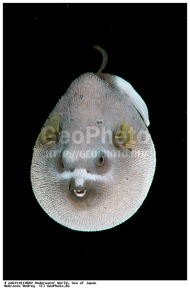  �������, �����, ���������, �����������, �������, �����������, ���������� ����, ����, �����, ������, �����, ��������, ��������, ����, ����, �������, �������, ���, ���������, ���������, ��������� ���, �������,��������� �����, ����� �����, ���-��������� ����, ��������� ���������, ����-������������� �������, ����-�������������, ����-�������������, ����, ����, ����������, �������, �����, ���������, �����������, �������, �����������, ���������� ����, ����, �����, ������, �����, ��������, ��������, ����, ����, �������, �������, ���, ���������, ���������, ��������� ���, �������,��������� �����, ����� �����, ���-��������� ����, ��������� ���������, ����-������������� �������, ����-�������������, ����-�������������, ����, ����, ����������, ��������, ����, ����, ���, ����, ���������, ������� �������������, ��������, �������������, �������, ���������� �������, �������, �����������, �����������, �����������, �����, �������, �����, ������������, ��������