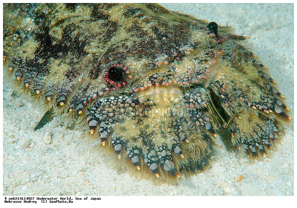  �������, �����, ���������, �����������, �������, �����������, ���������� ����, ����, �����, ������, �����, ��������, ��������, ����, ����, �������, �������, ���, ���������, ���������, ��������� ���, �������,��������� �����, ����� �����, ���-��������� ����, ��������� ���������, ����-������������� �������, ����-�������������, ����-�������������, ����, ����, ����������, �������, �����, ���������, �����������, �������, �����������, ���������� ����, ����, �����, ������, �����, ��������, ��������, ����, ����, �������, �������, ���, ���������, ���������, ��������� ���, �������,��������� �����, ����� �����, ���-��������� ����, ��������� ���������, ����-������������� �������, ����-�������������, ����-�������������, ����, ����, ����������, ������� ���������, ��������� ����, ����, �������, ����������� �������, ����������� ��������, ���, ����, ���� �����, �������, ��������, �����, �������� , �������, �����������, �����������, �����������, �����, �������, �����, ������������, ��������