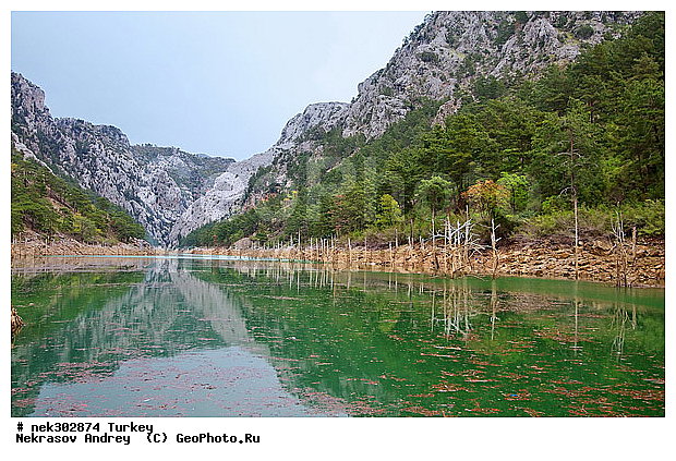 �������, ������, ���������, ���������, ������� ������, ������, ������, ���������������, ���������������, �, ����, ������, �������������, �������, ���������, ����, ������ ������, ��������, ������, ���������, ���������, ��, ������, �����, ������, �������, �������, �����������, �����, ������, ������, ��������, ��������, ��������, ��������, ������ � �����, �������������, �������������, �������������, �������������