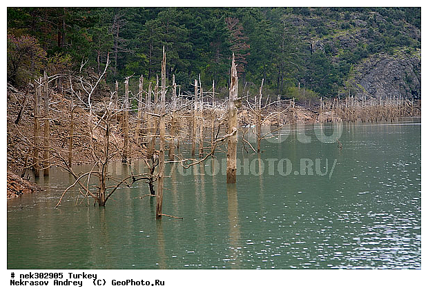 �������, ������, ���������, ���������, ������� ������, ������, ������, ���������������, ���������������, �, ����, ������, �������������, �������, ���������, ����, ������ ������, ��������, ������, ���������, ���������, ��, ������, �����, ������, �������, �������, �����������, �����, ������, ������, ��������, ��������, ��������, ��������, ������ � �����, �������������, �������������, �������������, �������������