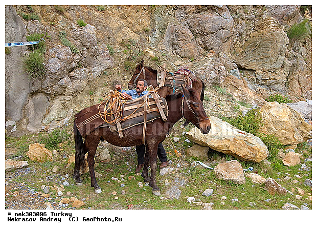 �������, ������, ���������, ���������, ������� ������, ������, �����, ������, ���������������, ���������������, �, ����, ������, �������������, �������, ���������, ����, ������ ������, ������, ��������, ������, ���������, ���������, ����, ������� ���������, ������� ������, ��, �����, ����������, ������, ���������, ������, �����, ������, �������, �������, �������, �����������, �����, ������, �������, ��������, ������, ������, ��������, ��������, ��������, ��������, ������ � �����, �������������, �������������, �������������, �������������, �������