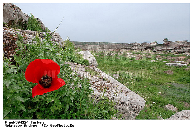 �������, ������, ���������, ���������, ������, ������, ���������������, ����������, �����������, �������������, ���������������, ���������������, �, �������, ���������, ���������������������, ������� �������, ���������, ������� �����������, ������� ��������, ������� �����������, ������ ������, �������, ������������ ���������, ������������, ������������, �������, ��������, ��������, ����������, ������, ���������, ���������, �����, ��������, ��, ��������, �������� ��������, ������, �����, ������, ��������, ��������� �����������, �������, �����������, �������, �����, �������, ������, ������, ��������, ��������, ��������, ��������, ������ � �����, �������������, �������������, �������������, �������������