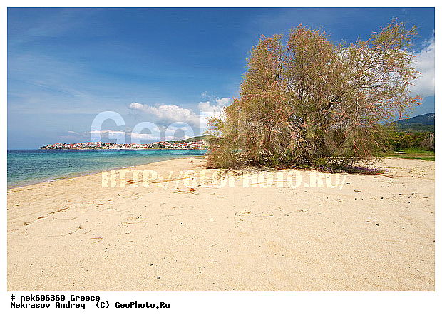 ������, ������, �����������, �����������, �����������, ����� �� ������ �������� ����, ���������, �, ����, �����, ���������, ���������, ���������, ���������, ���������, ������, ������ �� �����, ��������, ��������, ������, ���������, ���������, �������, ����, ��, �� �����, �����, ������, ������, �����, �����, �������� �����, �������� ����, ����, �����, ����� ����, ����������, ���������� ���������, �����������, �����������, ������, �������������, �������������, �������������, �������������