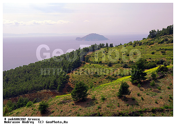 ������, ������, �����������, �����������, �����������, ���������, �, �����, ���������, ���������, ���������, ���������, ���������, ��������, ��������, ������, ���������, ���������, ����, ��, �����, ������, ������, ����������, ���������� ���������, �����������, �����������, ������, �������������, �������������, �������������, �������������