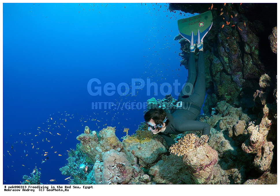 ����������, ������� ����, ����, ������, ������, ���������, ����������, �����, ��������, ���������, ������, �����, �����, �������, �������������, ���, ������, ���������, ��������, ���������, ��������� ���, ���������, ����������, ���������, ��� �����, ������, �������, ����������, ���, ����, ���������� ���