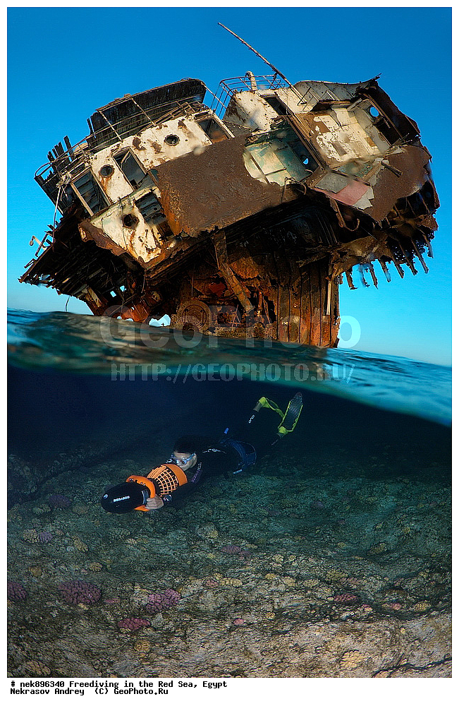 ����������, ������� ����, ����, ������, ������, ���������, ����������, �����, ��������, ���������, ������, �����, �����, �������, �������������, ���, ������, ���������, ��������, ���������, ��������� ���, ���������, ����������, ���������, ��� �����, ������, ����������������, ������, ��������� ������, ���������  ����������������, ��������� ������, �����������, ��������� �����������, ���, ����, ����������, �����, �������, ���, �� ����, �� ����, ��������������� ��������