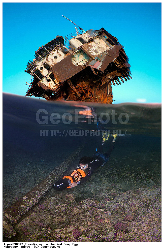 ����������, ������� ����, ����, ������, ������, ���������, ����������, �����, ��������, ���������, ������, �����, �����, �������, �������������, ���, ������, ���������, ��������, ���������, ��������� ���, ���������, ����������, ���������, ��� �����, ������, ����������������, ������, ��������� ������, ���������  ����������������, ��������� ������, �����������, ��������� �����������, ������, �������, ����������, ���, ����, ���������� ���, ���, ����, ����������, �����, �������, ���, �� ����, �� ����, ��������������� ��������