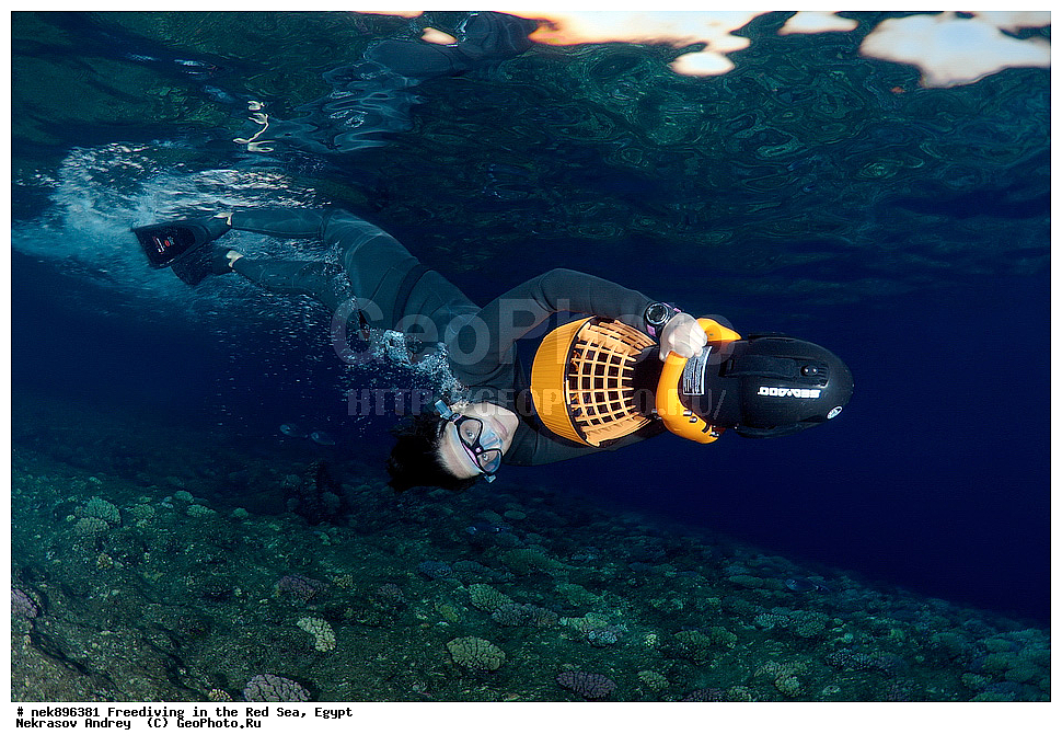 ����������, ������� ����, ����, ������, ������, ���������, ����������, �����, ��������, ���������, ������, �����, �����, �������, �������������, ���, ������, ���������, ��������, ���������, ��������� ���, ���������, ����������, ���������, ��� �����, ������, ����������������, ������, ��������� ������, ���������  ����������������, ��������� ������, �����������, ��������� �����������