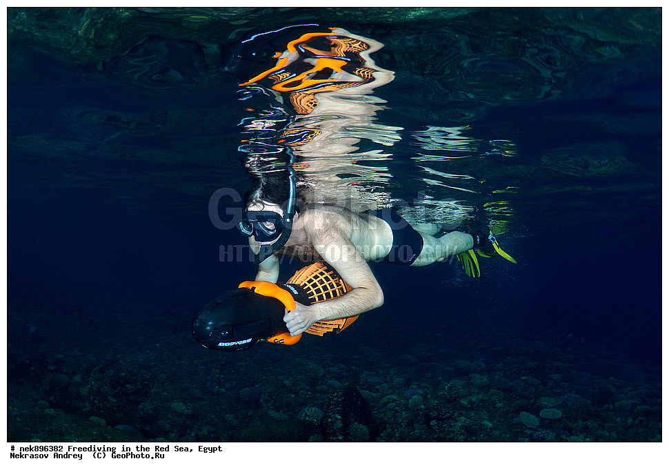 ����������, ������� ����, ����, ������, ������, ���������, ����������, �����, ��������, ���������, ������, �����, �����, �������, �������������, ���, ������, ���������, ��������, ���������, ��������� ���, ���������, ����������, ���������, ��� �����, ������, ����������������, ������, ��������� ������, ���������  ����������������, ��������� ������, �����������, ��������� �����������